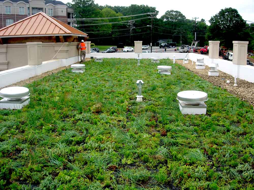 Autobell Car Wash commercial Living Roofs Inc.